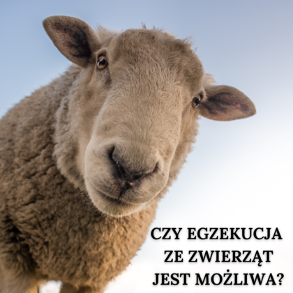 czy egzekucja ze zwierząt jest możliwa?